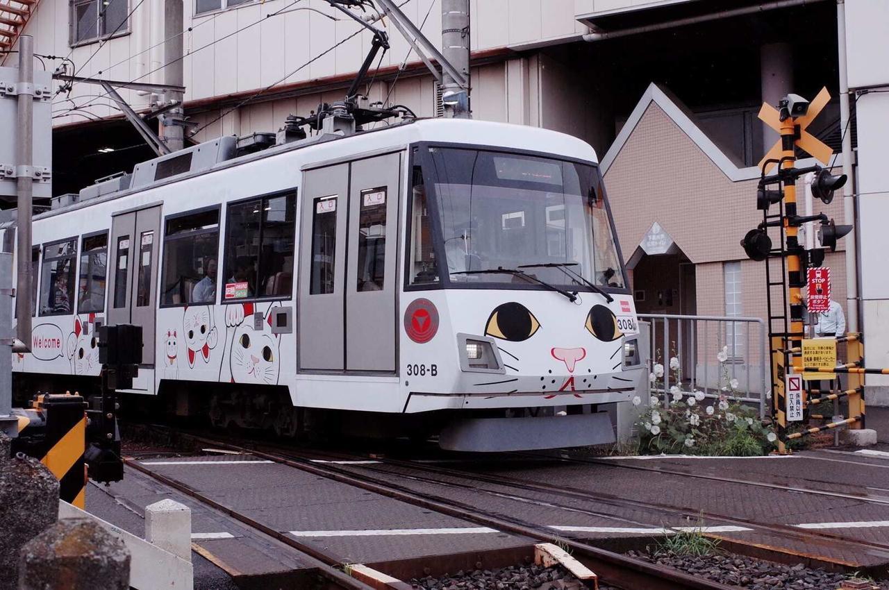 世田谷 大晶家 Direct To Shinjuku For 13Min 上北沢3分 近涉谷新宿 Daire Tokyo Dış mekan fotoğraf